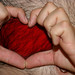 Sheri Pierce Photo 4
