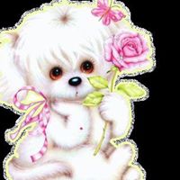 Rosalinda Gomez Photo 11