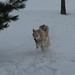 Jan Walters Photo 20