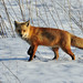 Michael Hooks Photo 29