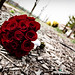 Rebecca David Photo 9