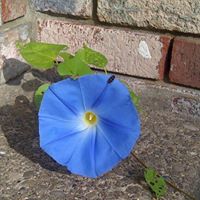 Deborah Nutter Photo 17