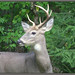Glenda Hunter Photo 22