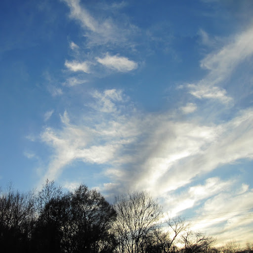 Sandy Atkins Photo 20