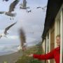 Regina Weber Photo 15