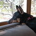 Beverly Sanders Photo 13