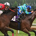 Jonathan Downs Photo 18