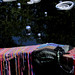 Lisa Pascarelli Photo 4