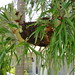 Rita Bower Photo 10