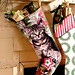 Holly Samples Photo 23