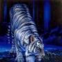 Jason Boothe Photo 31