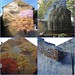 David Guinn Photo 14