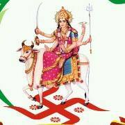 Shailesh Patel Photo 28