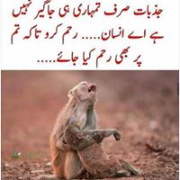 Muhammad Ashfaq Photo 44