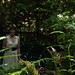 Colleen Shade Photo 16