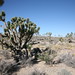 Joshua Forrest Photo 5