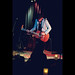 Trevor Davis Photo 33