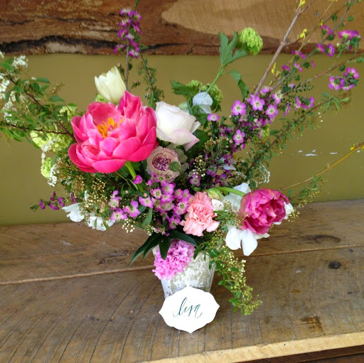 Lisa Fitch Photo 24
