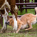 Jeffrey Bonk Photo 6