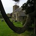 Mary Johns Photo 10