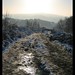 Leigh Edge Photo 7