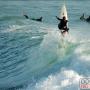 James Crook Photo 47