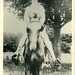 Willis Sharp Photo 3