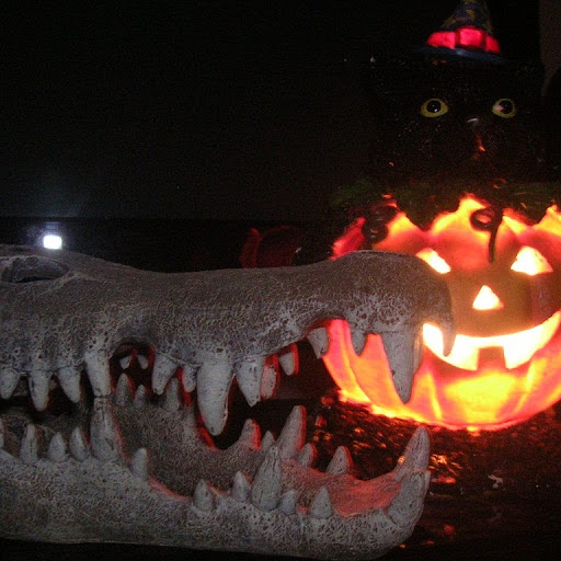 Carol Garnett Photo 7