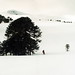 Terrie Jones Photo 16