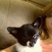 Alice Anderson Photo 28