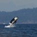 Debra Dickson Photo 14