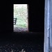 William Beebe Photo 36