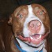 Jesse Hendrix Photo 21