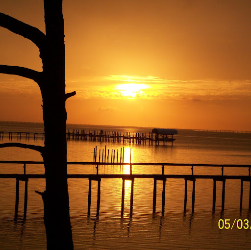 C Cook Photo 30