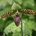 Mark Phipps Photo 25