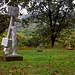 David Storm Photo 14