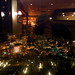 Christopher Harbaugh Photo 7