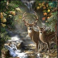Dianne Haas Photo 9