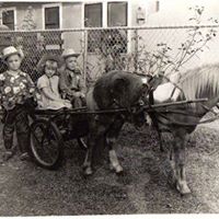 Judy Sauer Photo 15