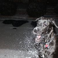 Beth Emerson Photo 29