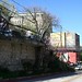 Carroll Spring Photo 4
