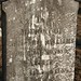 William Gunter Photo 15