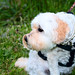 Brandy May Photo 40