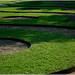 Carlton Green Photo 7