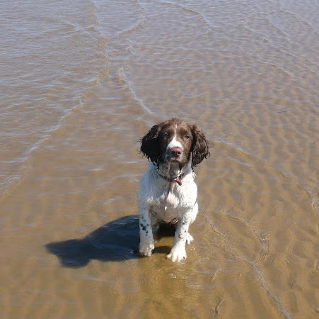 Gary Spring Photo 4
