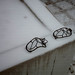 Steve Dougherty Photo 16