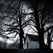 Faith Chestnut Photo 11