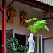 Cheng Shi Photo 28