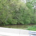 Janet Bridges Photo 14