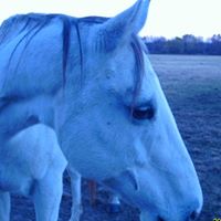 Sharon Mayberry Photo 6